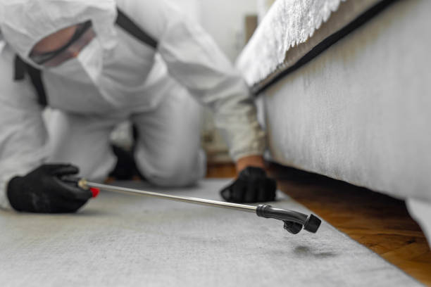 Professional Termite Control technician working in Westville, IN