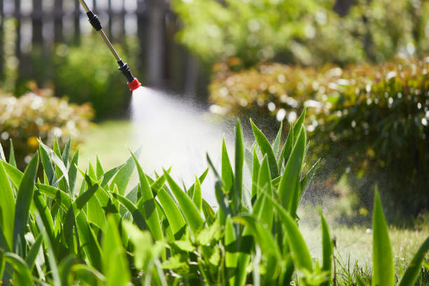 24/7 Emergency Termite Control experts in Westville, IN