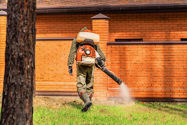 Top rated local Termite Control specialists in Westville, IN